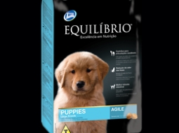Equilibrio cachorro large bree