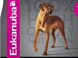 Eukanuba ad large breed 15k