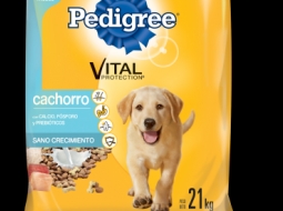 Pedigree cachorro 21 kilos