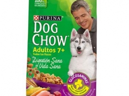 Dog chow senior +7