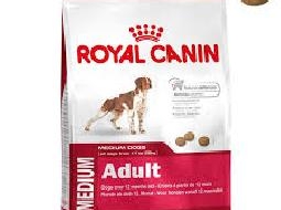 Royal canin adulto medium