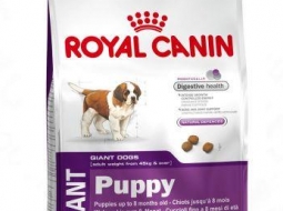 Royal canin cachorro giant 15k