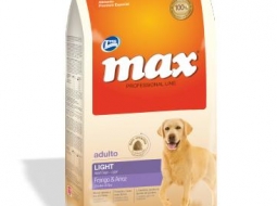 Max light